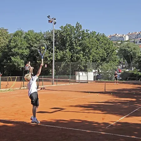 Garfild 2 Гостевой дом Нови-Винодолски